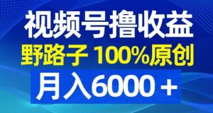 视频号野路子撸收益，100%原创，条条爆款，月入6000＋【揭秘】天风资源网，提供全网火热网站资源、培训资料、课程、创业教程天风资源网