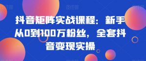 抖音矩阵实战课程：新手从0到100万粉丝，全套抖音变现实操天风资源网，提供全网火热网站资源、培训资料、课程、创业教程天风资源网