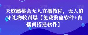 天庭蟠桃会无人直播教程,无人值守礼物收到爆【免费整蛊软件+直播间搭建软件】天风资源网,提供全网火热网站资源、培训资料、课程、创业教程天风资源网