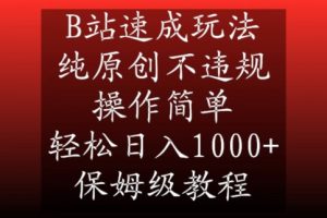 B站速成玩法，纯原创不违规，操作简单，轻松日入1000+，保姆级教程【揭秘】天风资源网，提供全网火热网站资源、培训资料、课程、创业教程天风资源网