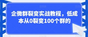 企微群裂变实战教程,低成本从0裂变100个群的天风资源网,提供全网火热网站资源、培训资料、课程、创业教程天风资源网