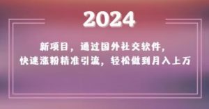 2024新项目，通过国外社交软件，快速涨粉精准引流，轻松做到月入上万【揭秘】天风资源网，提供全网火热网站资源、培训资料、课程、创业教程天风资源网