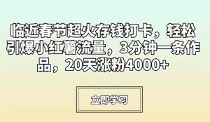 临近春节超火存钱打卡，轻松引爆小红薯流量，3分钟一条作品，20天涨粉4000+【揭秘】天风资源网，提供全网火热网站资源、培训资料、课程、创业教程天风资源网