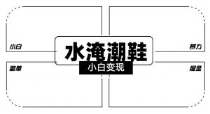 2024全新冷门水淹潮鞋无人直播玩法，小白也能轻松上手，打爆私域流量，轻松实现变现【揭秘】天风资源网，提供全网火热网站资源、培训资料、课程、创业教程天风资源网