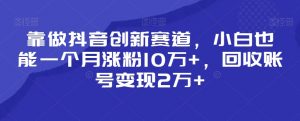 靠做抖音创新赛道,小白也能一个月涨粉10万+,回收账号变现2万+【揭秘】天风资源网,提供全网火热网站资源、培训资料、课程、创业教程天风资源网