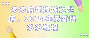 多多店铺挣钱之起店，2024年最新拼多多教程天风资源网，提供全网火热网站资源、培训资料、课程、创业教程天风资源网