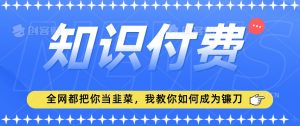 2024最新知识付费项目,小白也能轻松入局,全网都在教你做项目,我教你做镰刀【揭秘】天风资源网,提供全网火热网站资源、培训资料、课程、创业教程天风资源网