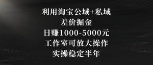 利用淘宝公域+私域差价掘金,日赚1000-5000元,工作室可放大操作,实操稳定半年【揭秘】天风资源网,提供全网火热网站资源、培训资料、课程、创业教程天风资源网
