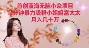 首创蓝海无脑小众项目，2分钟暴力吸粉小姐姐富太太，月入几十万【揭秘】天风资源网，提供全网火热网站资源、培训资料、课程、创业教程天风资源网