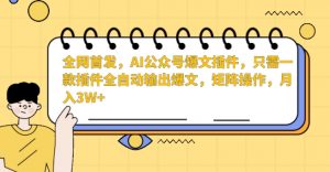 全网首发，AI公众号爆文插件，只需一款插件全自动输出爆文，矩阵操作，月入3W+【揭秘】天风资源网，提供全网火热网站资源、培训资料、课程、创业教程天风资源网