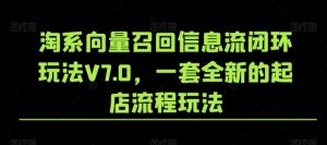 淘系向量召回信息流闭环玩法V7.0，一套全新的起店流程玩法天风资源网，提供全网火热网站资源、培训资料、课程、创业教程天风资源网