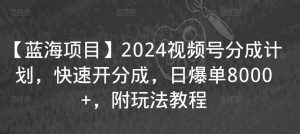 【蓝海项目】2024视频号分成计划，快速开分成，日爆单8000+，附玩法教程天风资源网，提供全网火热网站资源、培训资料、课程、创业教程天风资源网