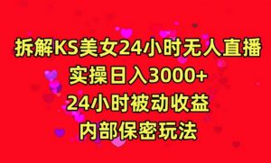 利用快手24小时无人美女直播，实操日入3000，24小时被动收益，内部保密玩法【揭秘】天风资源网，提供全网火热网站资源、培训资料、课程、创业教程天风资源网