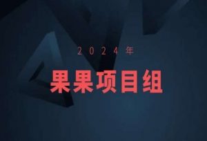 2024年果果项目组项目合集-果果最新项目天风资源网，提供全网火热网站资源、培训资料、课程、创业教程天风资源网