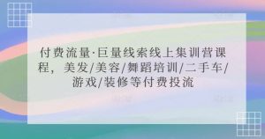 付费流量·巨量线索线上集训营课程，美发/美容/舞蹈培训/二手车/游戏/装修等付费投流天风资源网，提供全网火热网站资源、培训资料、课程、创业教程天风资源网