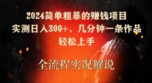 2024简单粗暴的赚钱项目，实测日入300+，几分钟一条作品，轻松上手【揭秘】天风资源网，提供全网火热网站资源、培训资料、课程、创业教程天风资源网