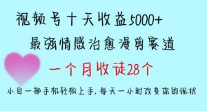 十天收益5000+,多平台捞金,视频号情感治愈漫剪,一个月收徒28个,小白一部手机轻松上手【揭秘】天风资源网,提供全网火热网站资源、培训资料、课程、创业教程天风资源网