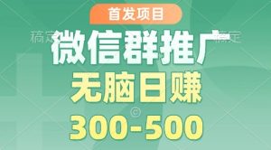 首发项目,微信群推广掘金,多号矩阵无脑日入3-5张【揭秘】天风资源网,提供全网火热网站资源、培训资料、课程、创业教程天风资源网