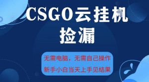 CSGO云挂G全自动捡漏，最新独家玩法，无需电脑操作，新手小白日入5张+【揭秘】天风资源网，提供全网火热网站资源、培训资料、课程、创业教程天风资源网