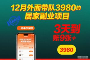12月外面带队3980的居家副业项目,一部手机实测3天到账9张+,首发教程【揭秘】天风资源网,提供全网火热网站资源、培训资料、课程、创业教程天风资源网