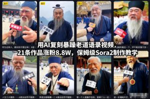 用AI复刻暴躁老道语录视频,21条作品涨粉8.8W,保姆级Sora2制作教学天风资源网,提供全网火热网站资源、培训资料、课程、创业教程天风资源网
