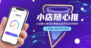 小店随心推微付费撬动自然流投手教学，小店随心推手把手教学天风资源网，提供全网火热网站资源、培训资料、课程、创业教程天风资源网