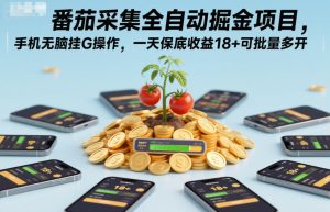 番茄采集全自动掘金项目,手机无脑挂G操作,一天保底收益18+可批量多开【揭秘】天风资源网,提供全网火热网站资源、培训资料、课程、创业教程天风资源网
