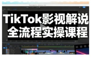 TikTok影视解说全流程实操,手把手教你打造TK爆款解说视频天风资源网,提供全网火热网站资源、培训资料、课程、创业教程天风资源网