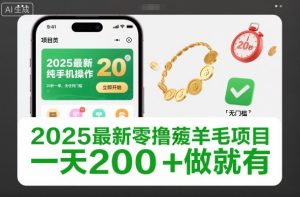 2025最新零撸薅羊毛项目，纯手机操作，20秒一单，无任何门槛，一天200+做就有【揭秘】天风资源网，提供全网火热网站资源、培训资料、课程、创业教程天风资源网