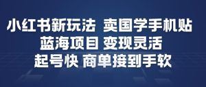 小红书新玩法，卖国学手机贴，蓝海项目，变现灵活，起号快，商单接到手软天风资源网，提供全网火热网站资源、培训资料、课程、创业教程、虚拟资料、电商网站天风资源网
