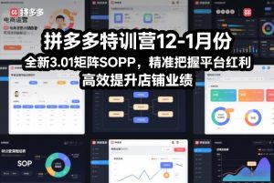 拼多多特训营12-1月份，全新3.01矩阵Sop，精准把握平台红利，高效提升店铺业绩-天风资源网