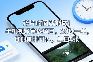 碎片时间就能做！手机视频审核项目，20秒一单，随时随地可做，单日4张+【揭秘】-天风资源网