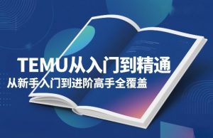 TEMU从入门到精通，从新手入门到进阶高手全覆盖-天风资源网