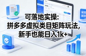 可落地实操:拼多多虚拟类目矩阵玩法,新手也能日入1k+【揭秘】-天风资源网