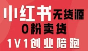 小红书无货源0粉电商课,开店准备、选品策略、笔记撰写、视频剪辑、数据分析、账号打造、资料文档(更新26年3月)-天风资源网