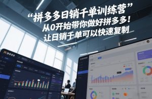 拼多多日销千单训练营,从0开始带你做好拼多多,让日销千单可以快速复制(更新26年2月)-天风资源网