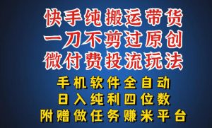 最新黑科技快手搬运带货方法,手机就能操作,轻松带你日入四位数【揭秘】-天风资源网