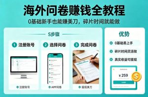 海外问卷賺钱全教程,0基础新手也能賺美刀,碎片时间就能做-天风资源网