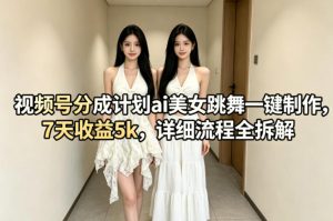 视频号分成计划ai美女跳舞一键制作，7天收益5k，详细流程全拆解-天风资源网