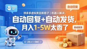 拼多多虚拟类目新路子｜机器人解决，自动回复+自动发货，月入1-5W太香了【揭秘】-天风资源网