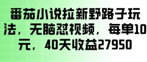 番茄小说拉新野路子玩法，无脑怼视频，玩法简单、见效快，每单10米，40天收益27950-天风资源网