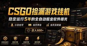 CSGO捡漏游戏挂G，稳定运行5年的全自动掘金软件曝光，小白也可当天学会，当天见收益，日入500+【揭秘】-天风资源网