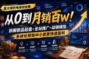某大佬的电商创业圈从0到月销百W!拆解新品起盘+全站推广+动销模型,系统化帮助中小卖家快速盈利-天风资源网