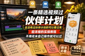 一条精选视频过伙伴计划，还没有过伙伴计划的可以看过来，超详细的实操教程，不用花米自己操作就可以过-天风资源网