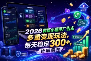 2026微信小程序广告主,多重变现玩法,每天稳定300+,长期稳定【揭秘】-天风资源网